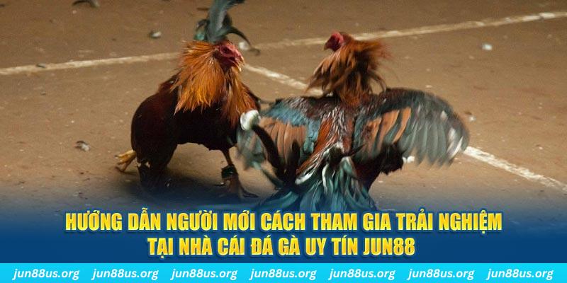 2q bet loi game dot kich ket noi may chu that bai