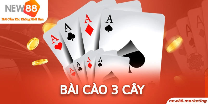 2q bet gà choi c1