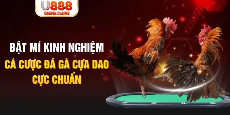 2q bet xổ số miền nam xổ số miền nam