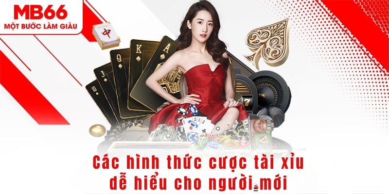 2q bet DG Trực Tuyến