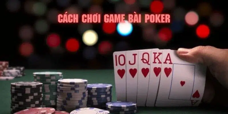 2q bet đăng nhập poker 2024