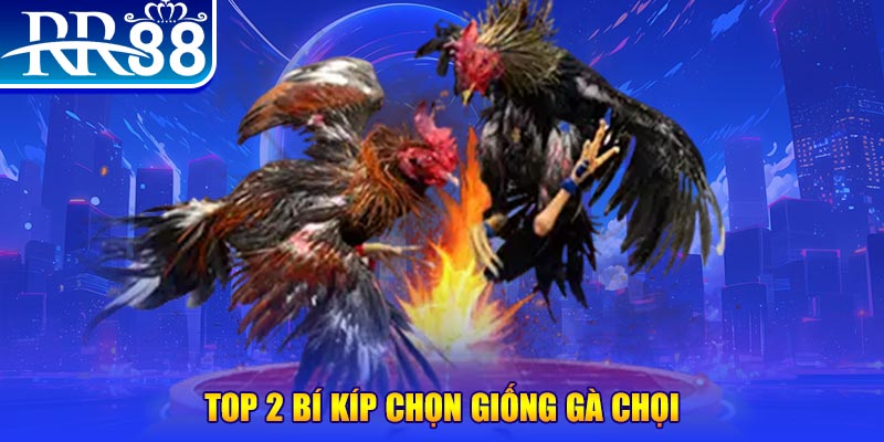 2q bet máy thu cước bắn cá