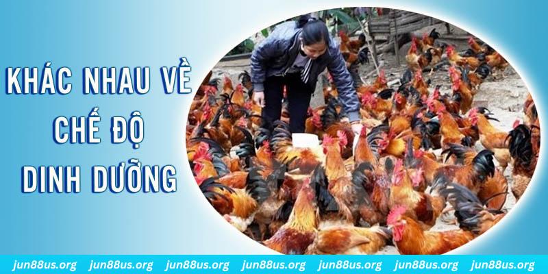 2q bet xổ số miền nam thứ năm hàng tuần