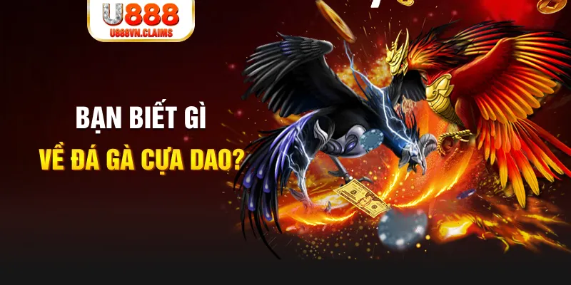 2q bet quay thử xổ số miền nam