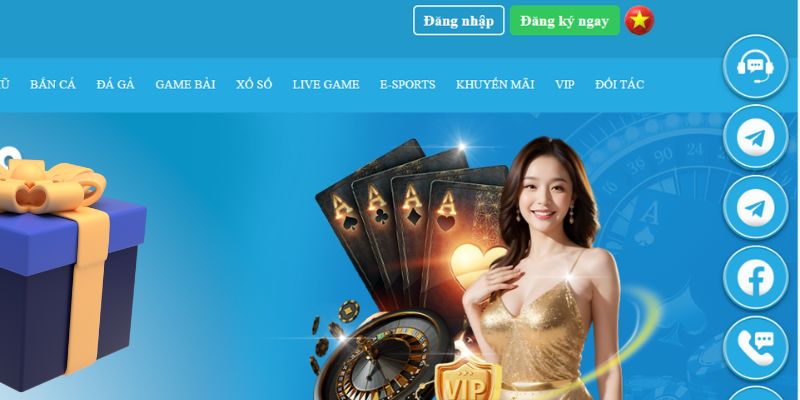 2q bet máy slot
