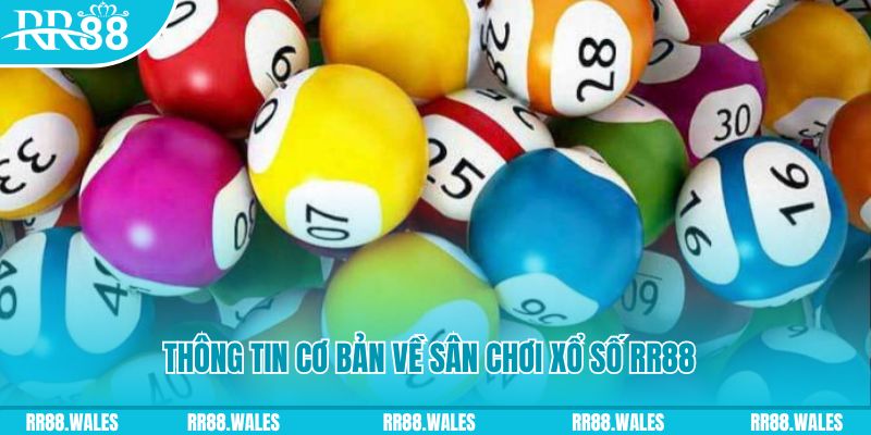 2q bet đá gà hôm nay