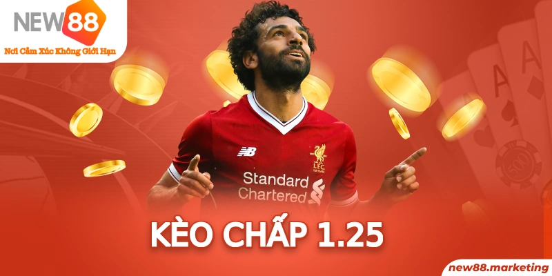 2q bet arne slot là ai