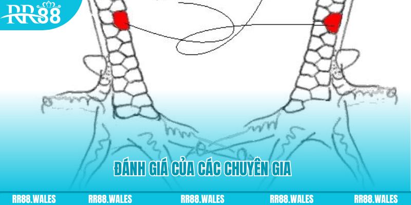 2q bet V8 Game Bài 3d