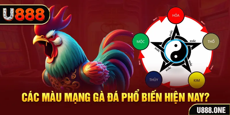 2q bet FTG Điện Tử