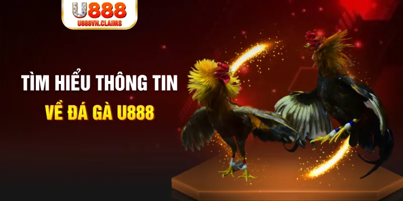 2q bet đăng nhập tiến lên miền nam hàng đầu