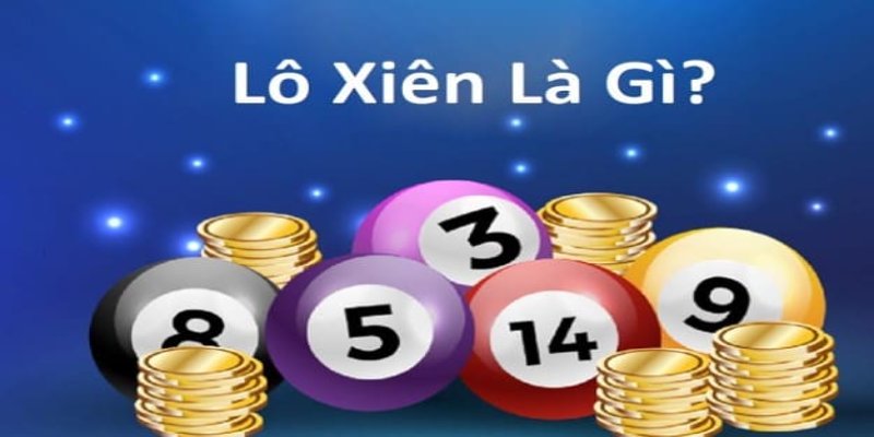 2q bet gà chọi hòa phong