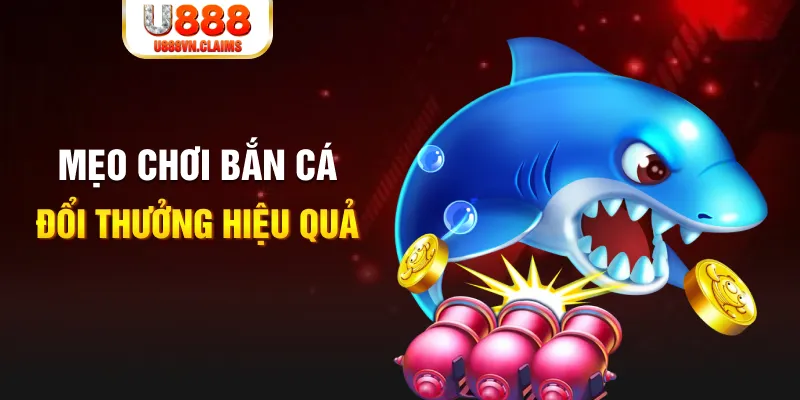 2q bet baccarat có hợp pháp không