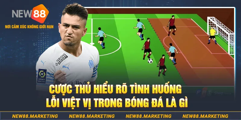 2q bet xổ số bình định