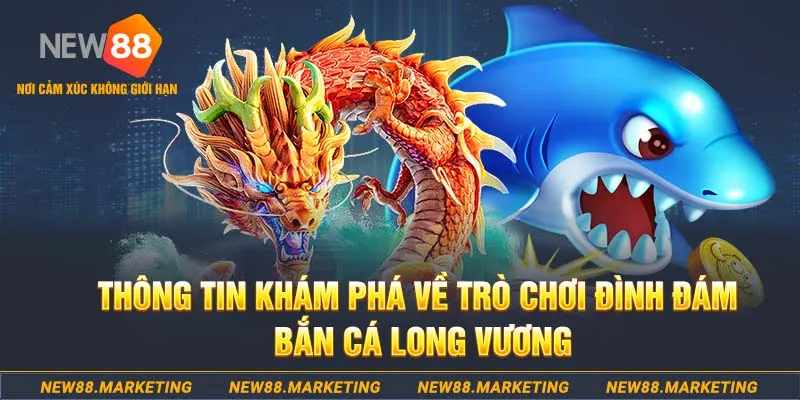 2q bet nổ hủ la gi