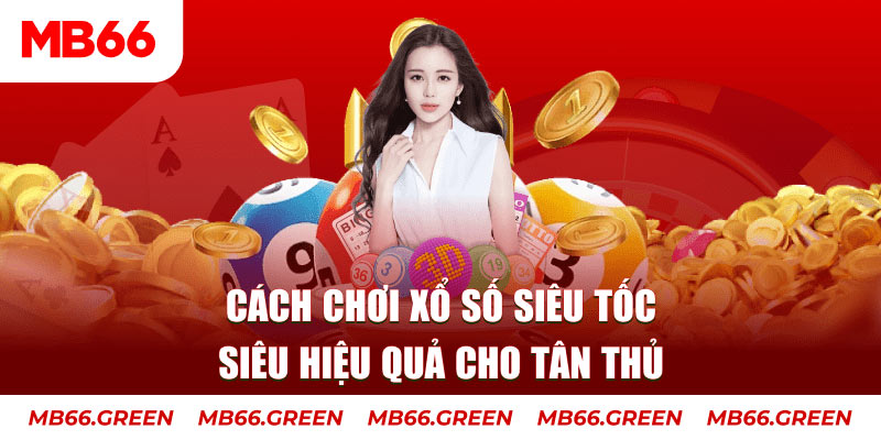2q bet trực tiếp đá gà c3 hôm nay