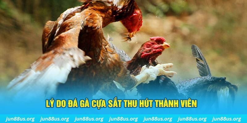 2q bet chiếm slot là gì