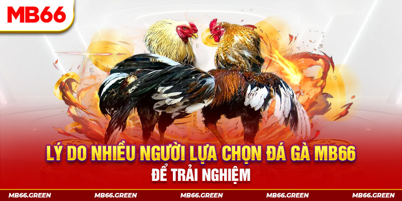 2q bet KA Điện Tử
