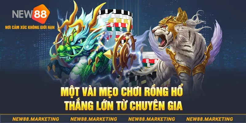 2q bet slot machine là gì