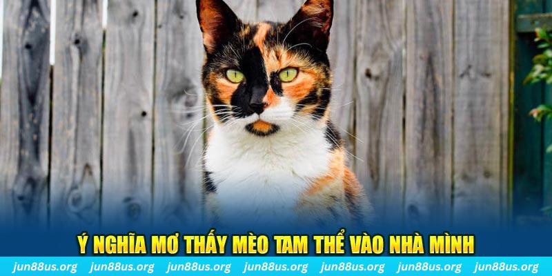 2q bet RTG Bắn cá