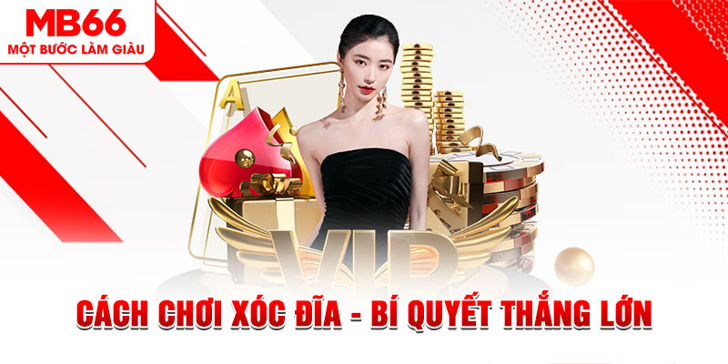 2q bet trực tiếp đá gà c1 hôm nay