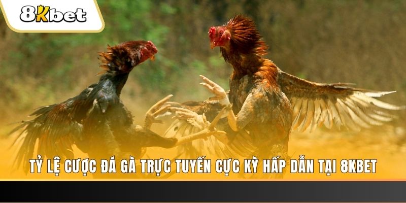 2q bet baccarat online bịp như thế nào