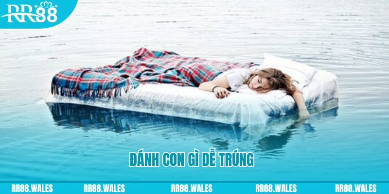 2q bet đăng nhập liêng hàng đầu