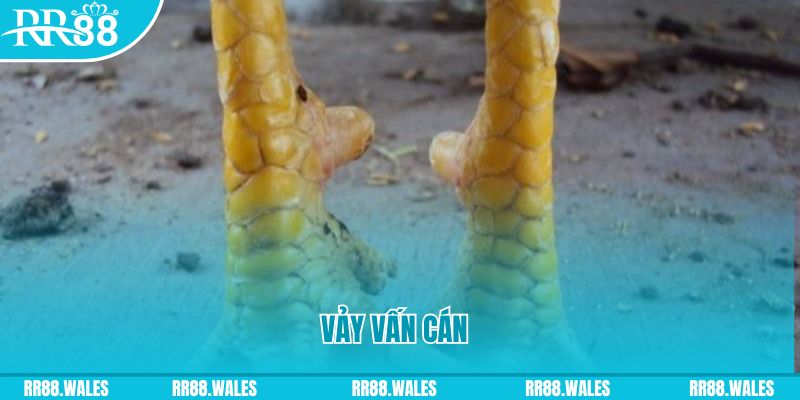 2q bet đăng nhập nổ hũ hôm nay