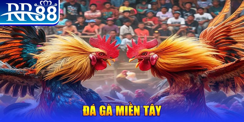 2q bet nổ hũ ai là gì