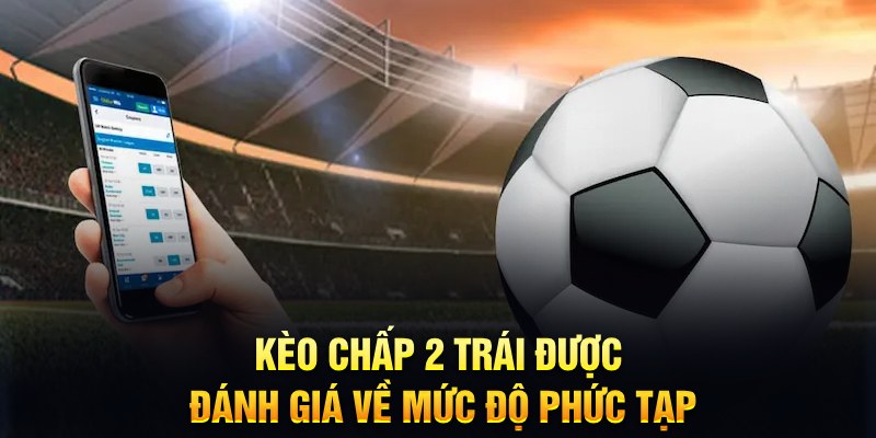 2q bet trực tiếp đá gà thomo hôm nay