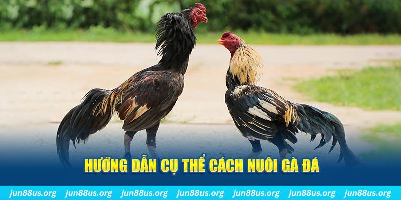 2q bet đăng nhập sòng bạc số 1