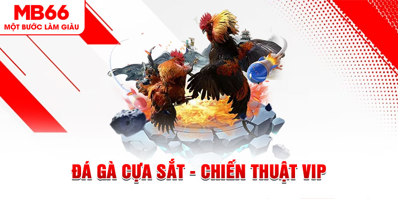 2q bet xổ số trực tiếp hôm nay