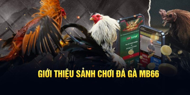 2q bet đăng nhập poker hôm nay