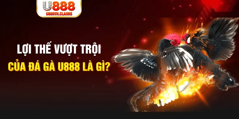 2q bet 168G Điện Tử
