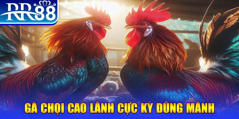 2q bet ILOVEU Bắn cá
